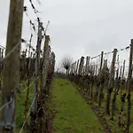 Moselblick Mit Kostenfreien öpnv-ticket