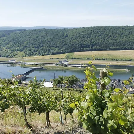 Moselblick Mit Kostenfreien Oepnv-ticket