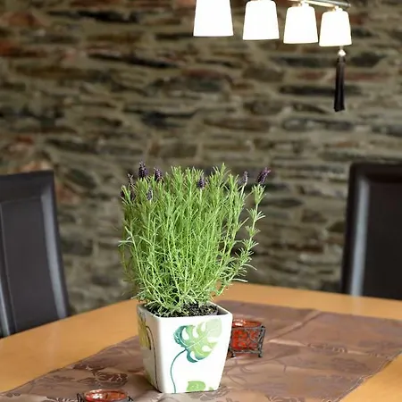 بيت للعطل Moselblick Mit Kostenfreien Oepnv-ticket
