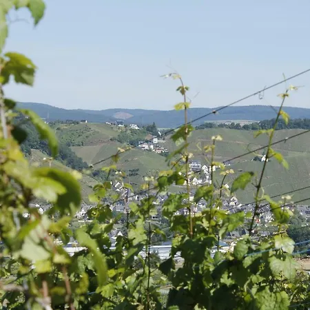 Moselblick Mit Kostenfreien Oepnv-ticket *