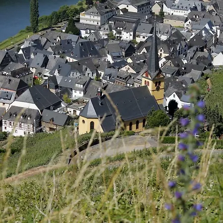 Moselblick Mit Kostenfreien Oepnv-ticket Ürzig