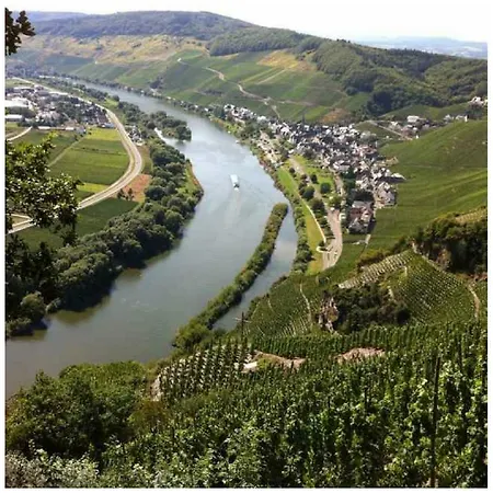 Moselblick Mit Kostenfreien Oepnv-ticket