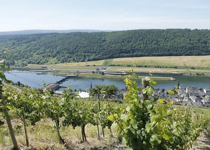 Moselblick Mit Kostenfreien Oepnv-ticket