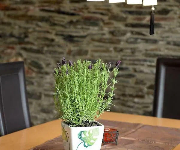 Holiday home Moselblick Mit Kostenfreien Oepnv-ticket