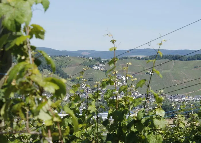Moselblick Mit Kostenfreien Oepnv-ticket *