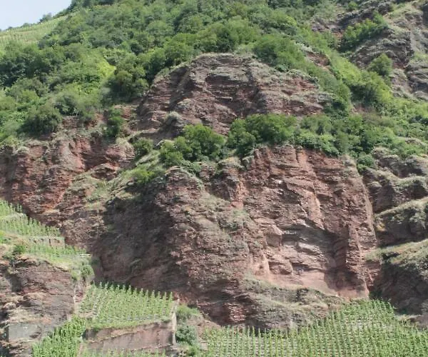 Holiday home Moselblick Mit Kostenfreien Oepnv-ticket Uerzig