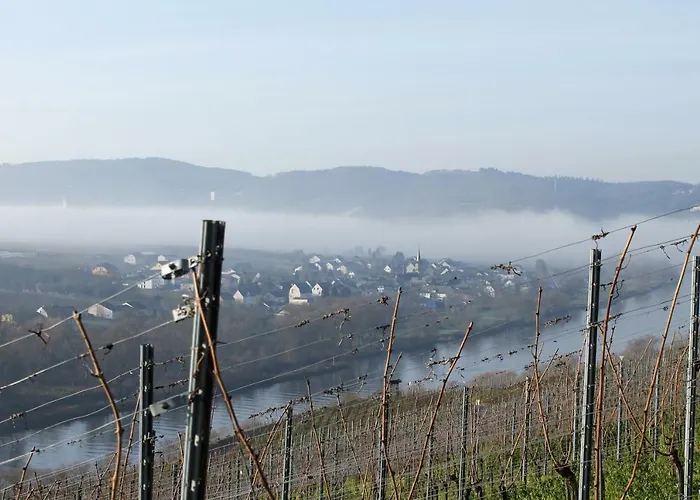 Holiday home Moselblick Mit Kostenfreien Oepnv-ticket *