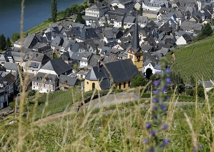 Moselblick Mit Kostenfreien Oepnv-ticket Uerzig