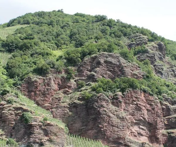 Moselblick Mit Kostenfreien Oepnv-ticket * Uerzig